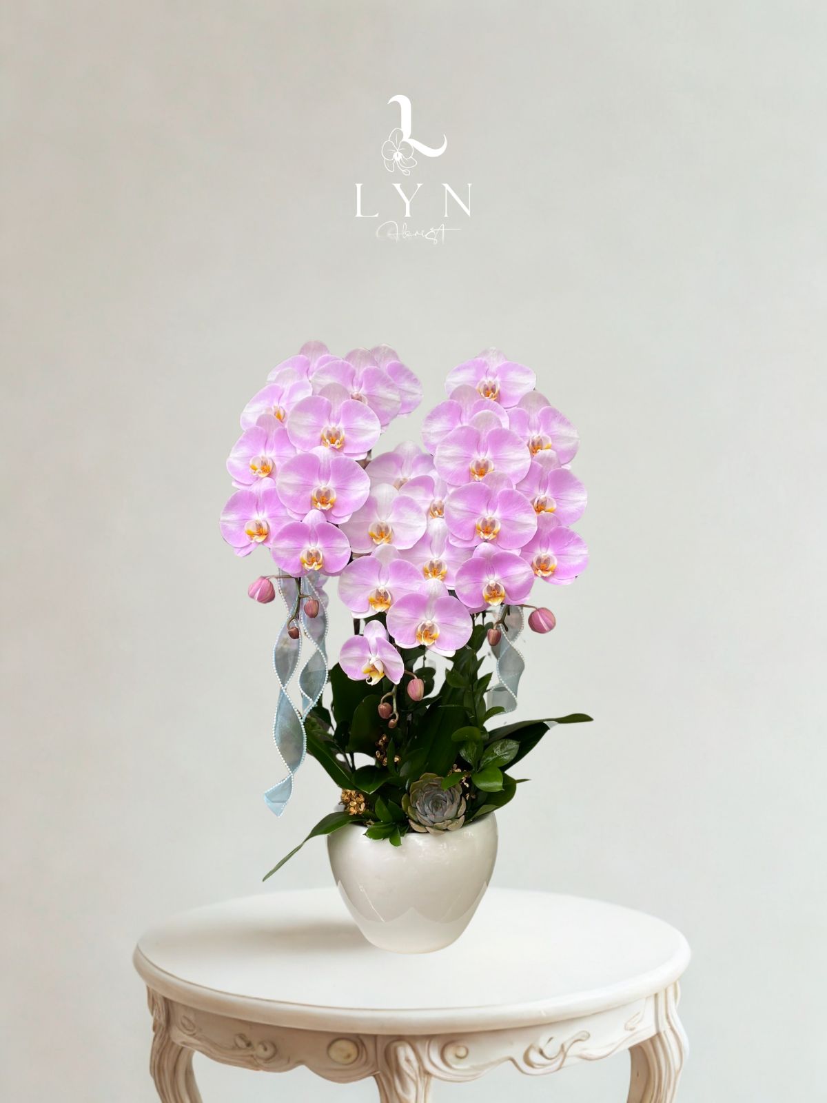 Chậu Hoa Lan Hồng Chanel